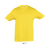 T-SHIRT REGENT KIDS BAMBINO M/CORTA G/COLLO SOL'S