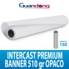 BANNER SPALMATO 510GR GUANDONG 30MT H160