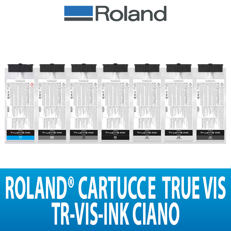 CARTUCCIA PER SERIE VG2/SG2 DA 500CC ROLAND