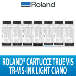 CARTUCCIA PER SERIE VG2/SG2 DA 500CC ROLAND