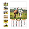 CALENDARIO CAVALLI 12 FG